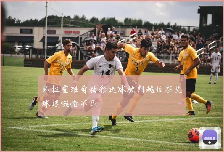 弗拉霍维奇精彩进球被判越位在先球迷惋惜不已