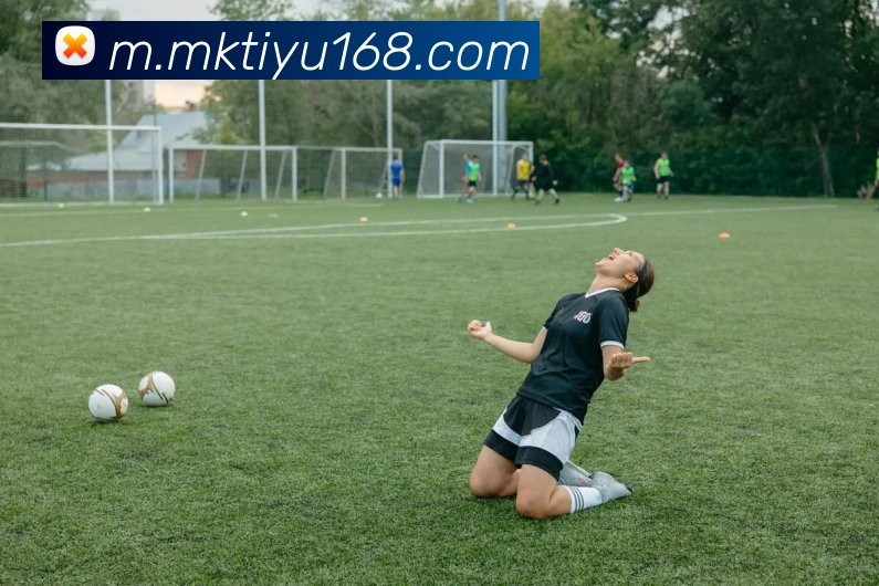 MK体育平台生态图