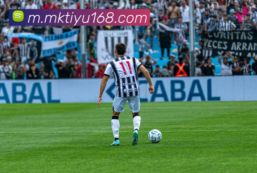 MK体育APP 封面图